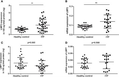 Co-Inhibition of the Immunoproteasome Subunits LMP2 and LMP7 Ameliorates <mark class="highlighted">Immune Thrombocytopenia</mark>